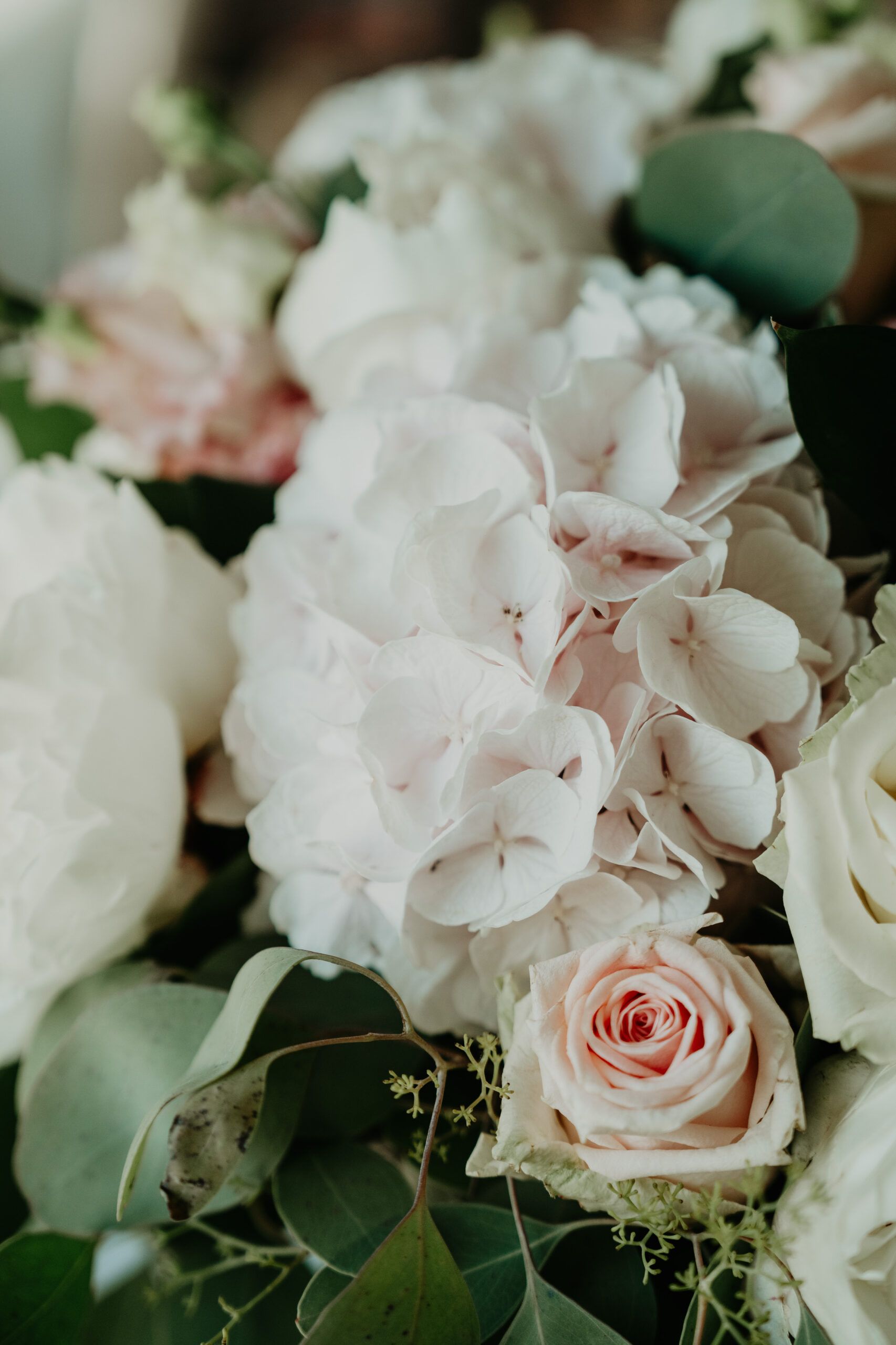 Le bouquet de la mariée : hortensias blancs, roses poudrées et eucalyptus.